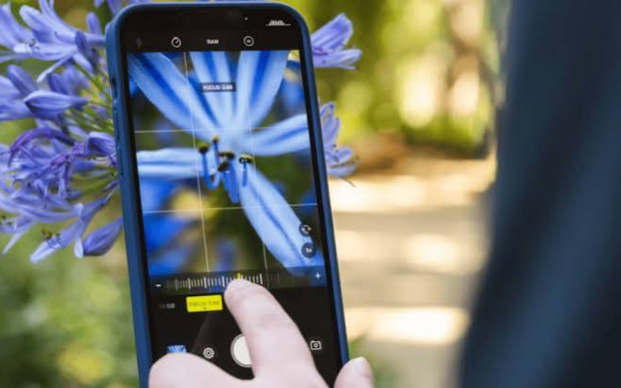 Fotografia com o Celular: Dicas Rápidas para Tirar Fotos Incríveis